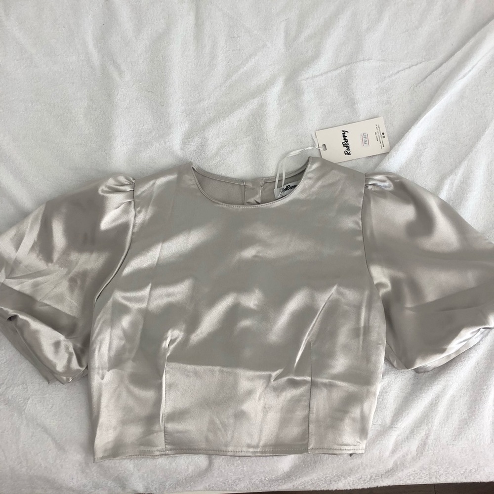 Silver crop top with puffy sleeves